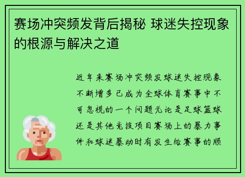 赛场冲突频发背后揭秘 球迷失控现象的根源与解决之道