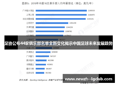 足协公布44家俱乐部名单全新变化揭示中国足球未来发展趋势