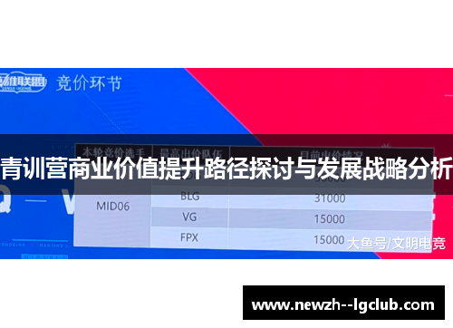 青训营商业价值提升路径探讨与发展战略分析